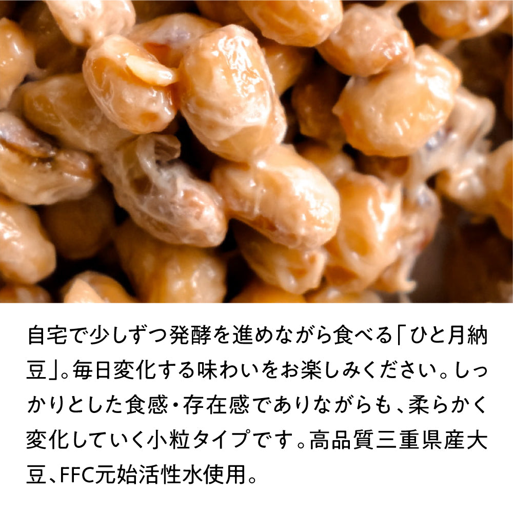 【からし・たれ付】ひと月納豆／小粒+小袋タレ（からし付き）3g×10袋