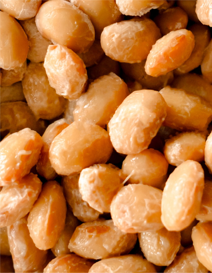 ひと月納豆 大粒