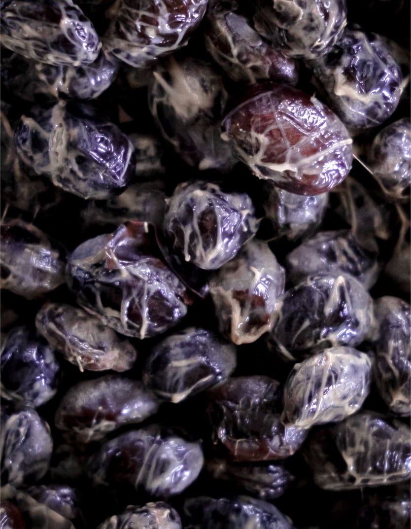 ひと月納豆 黒豆